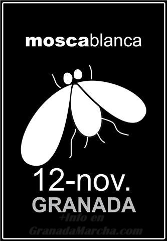 Fiesta Mosca Blanca