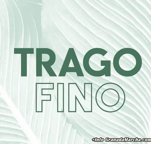 Pub TragoFino